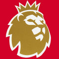 Premier League Champions gold patch